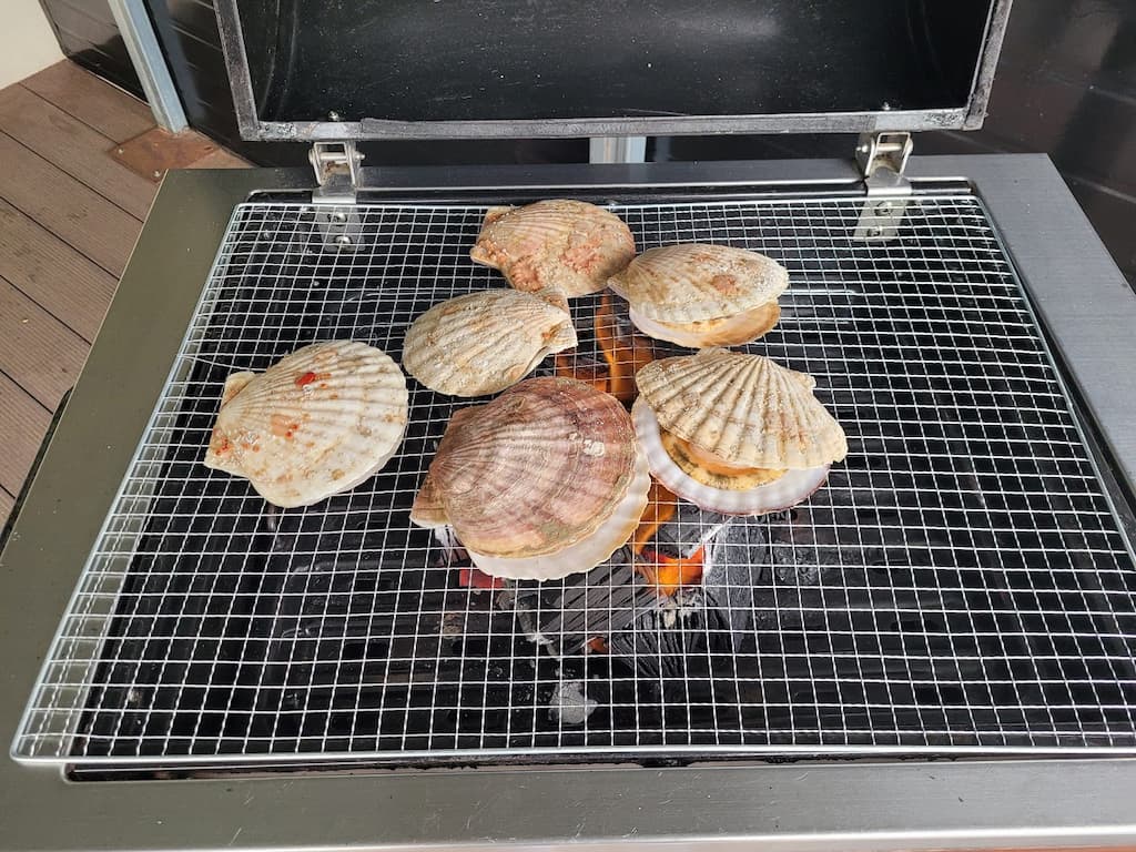 고성 펜션 숯불 가리비 구이