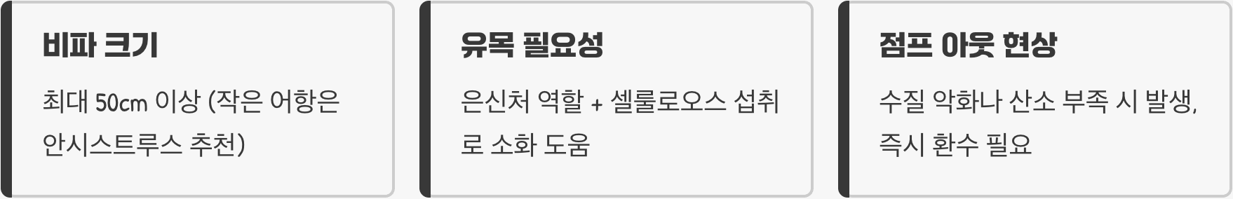 비파물고기 키우기 A to Z (어항, 먹이, 수질 관리)