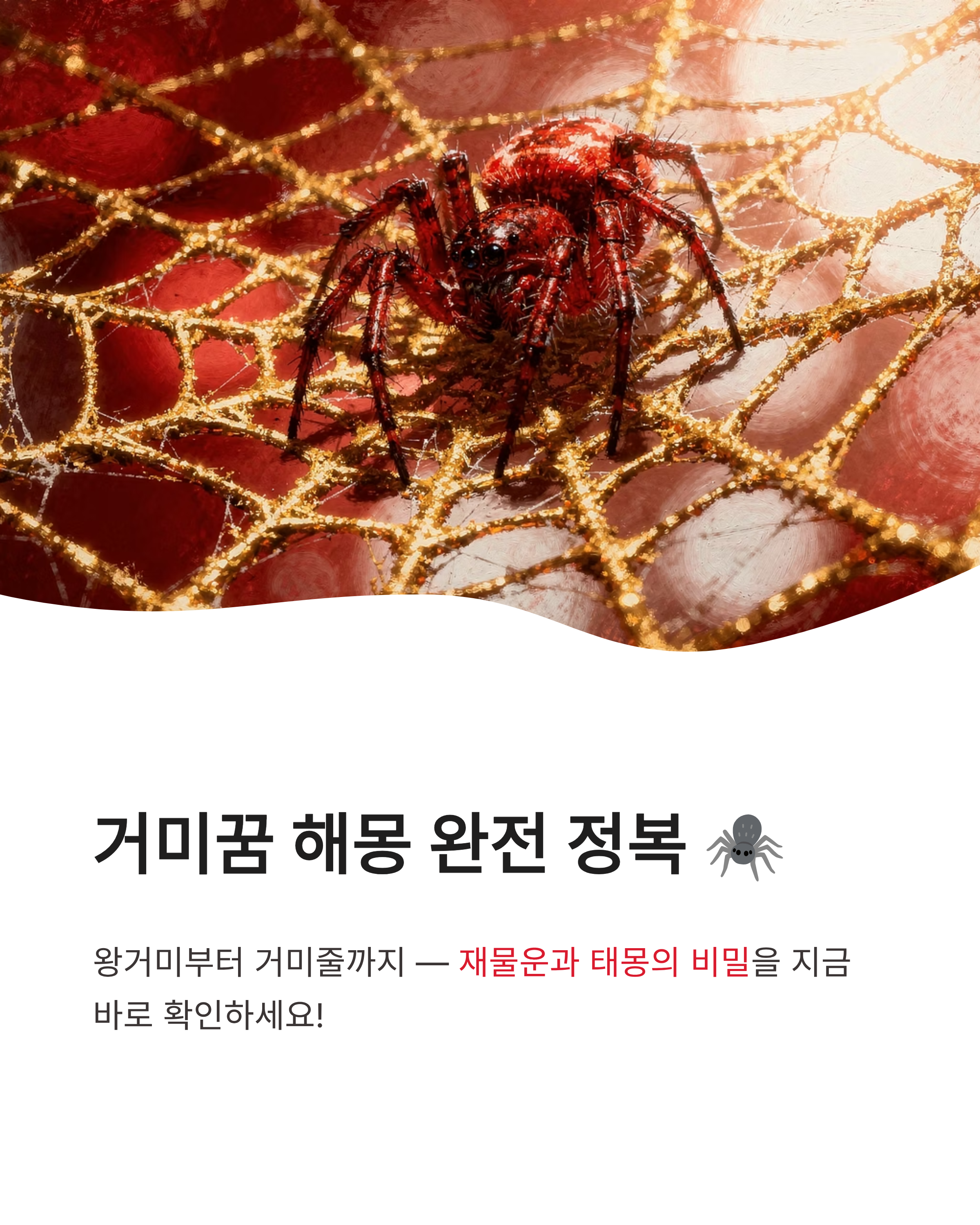 거미꿈 해몽, 왕거미부터 거미줄까지! 재물운과 태몽의 비밀은 무엇일까요?