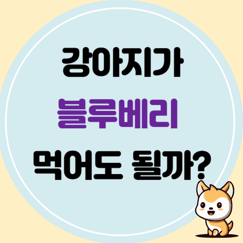 강아지가 블루베리를 먹어도 될까?