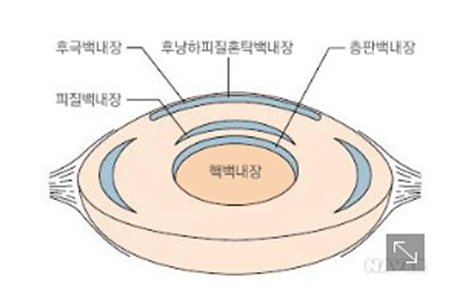 부위별명칭
