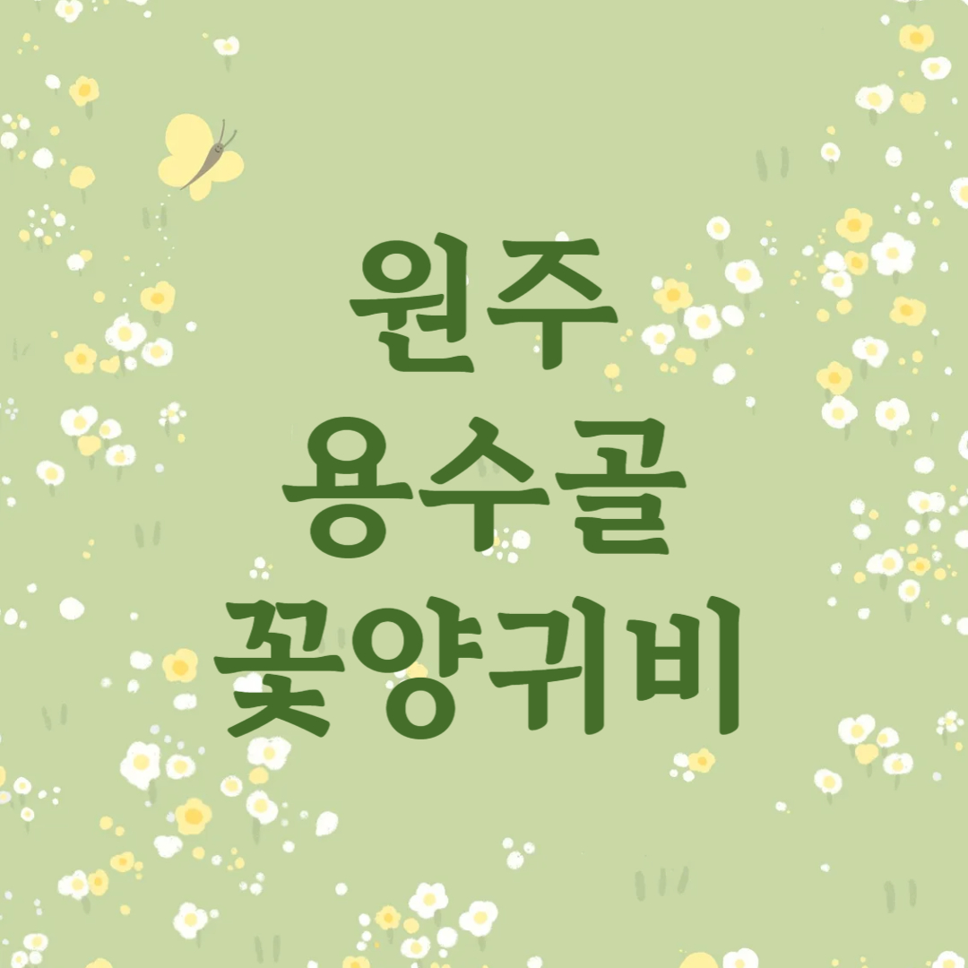 원주 용수골꽃양귀비축제