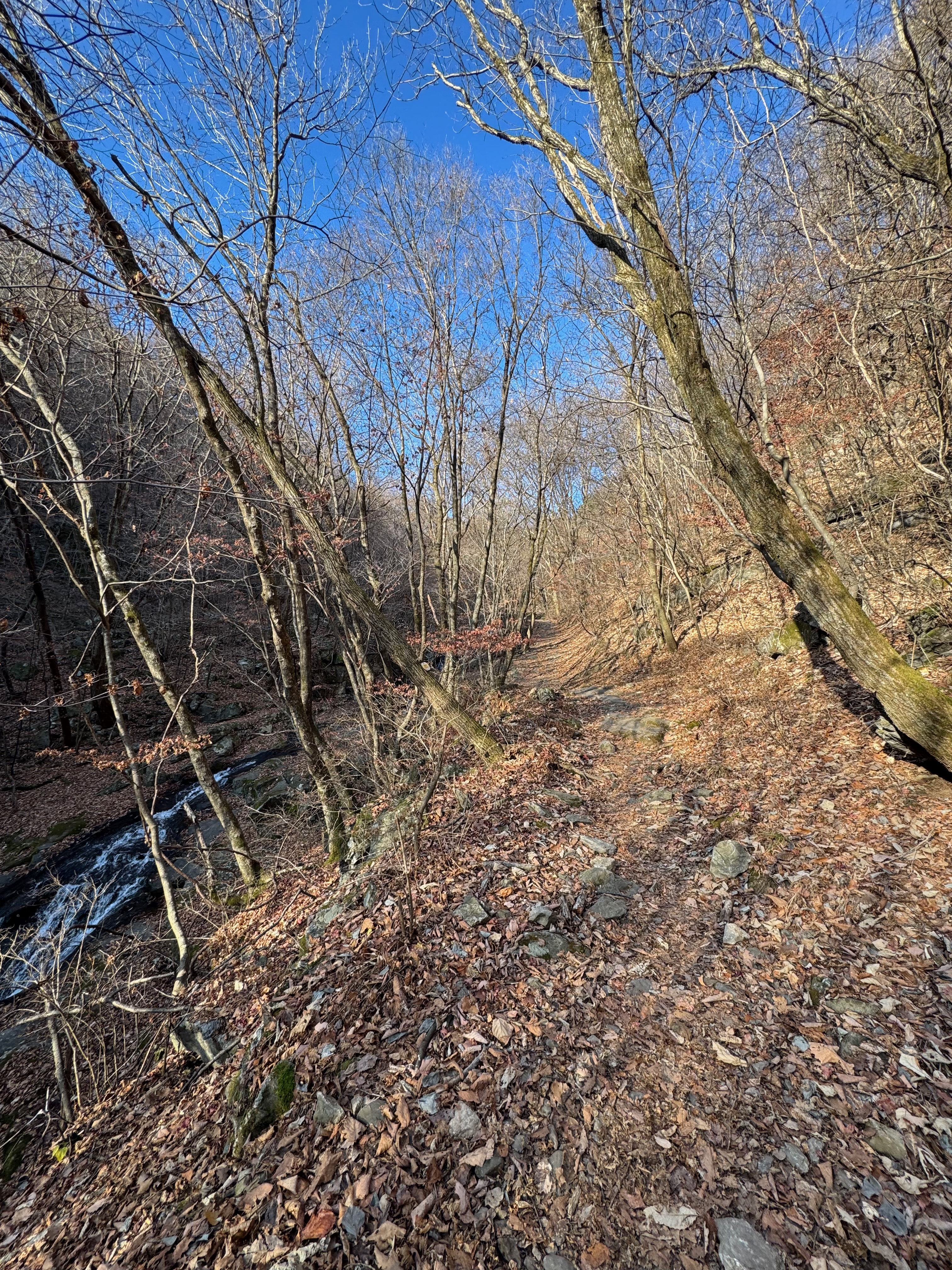 명지 계곡 옆 등산로