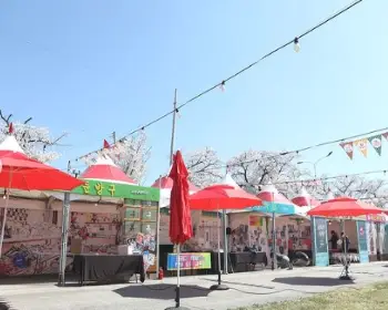 정읍 벚꽃축제_12