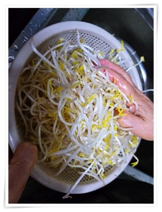 숙주나물 무침 5