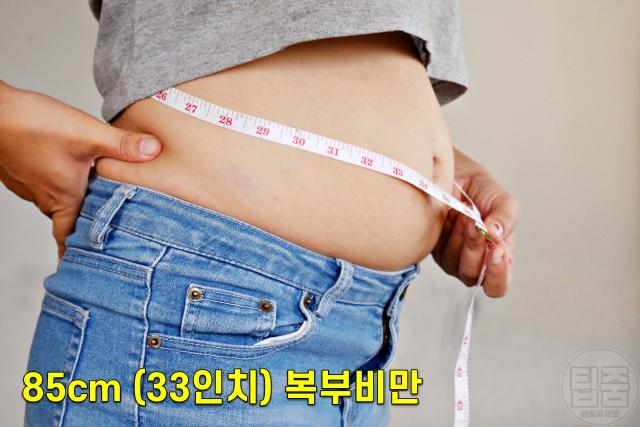허리둘레 85cm 33인치 내장지방 복부비만,팁줌