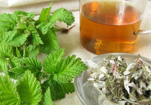 생리통에 좋은 음식 / 생리통에 좋은 차 - 레드 라즈베리 잎 차