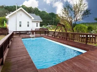 양평 가볼만한곳 베스트10 두물머리 연잎핫도그_13