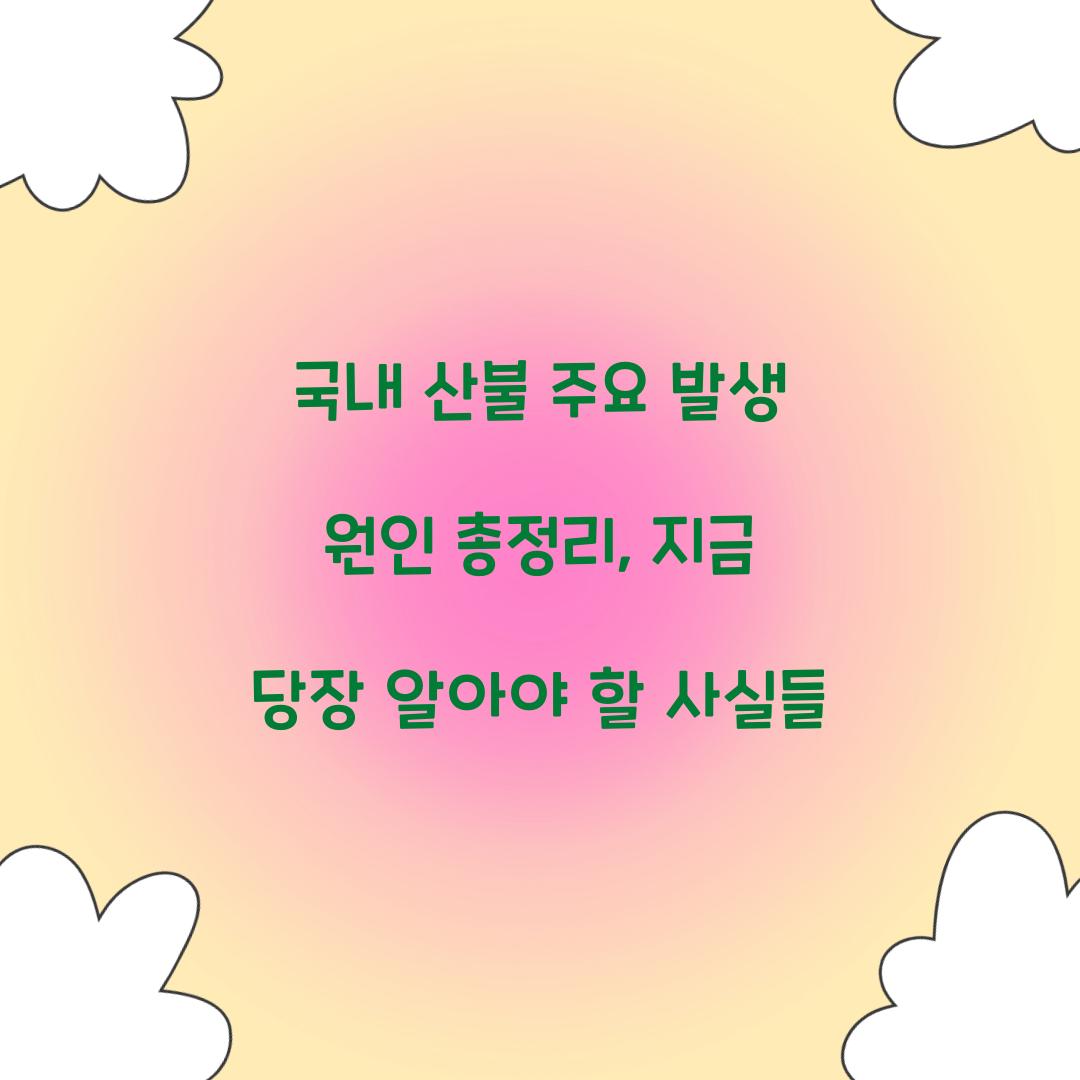 국내 산불 주요 발생 원인 총정리