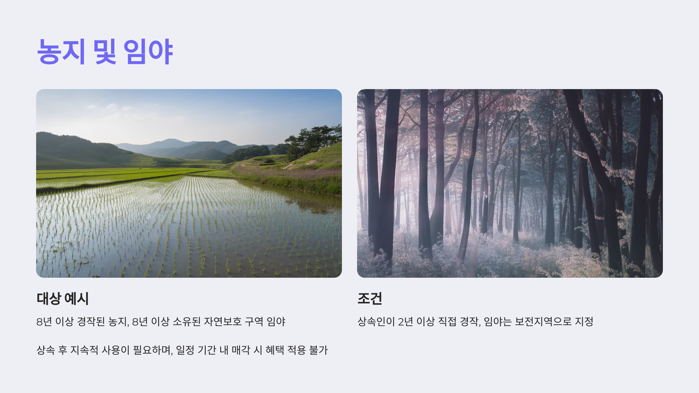 농지 및 임야