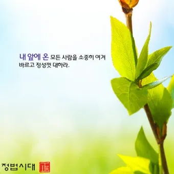 삶의 지혜 짧은 문장 손주 교육 대화 공감 가족과 나누기 좋은 표현_19