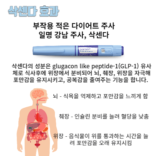 삭센다-효과