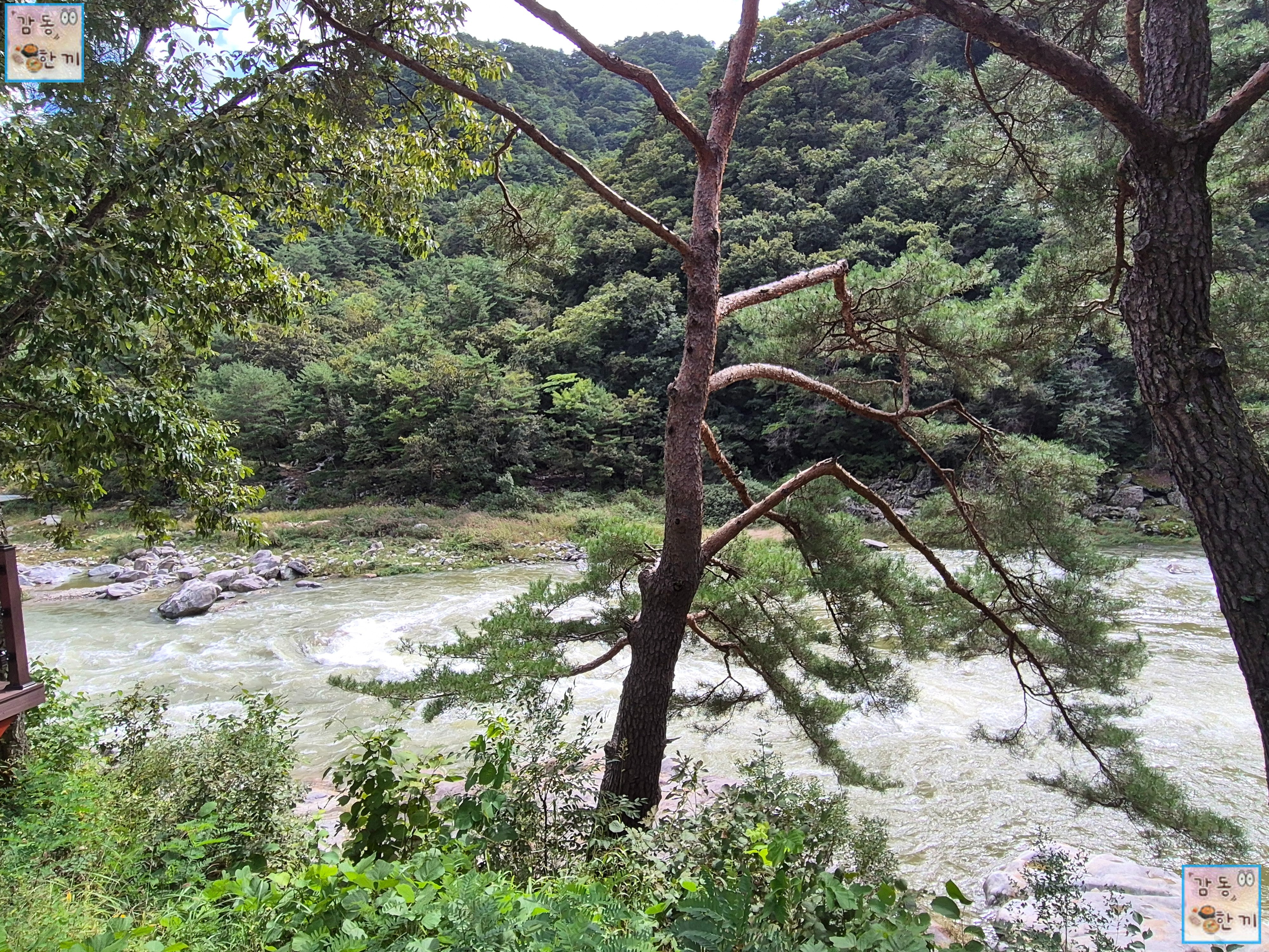 양구 재래식손두부 본점 가는 길 : 무장애나눔길 풍경 #2