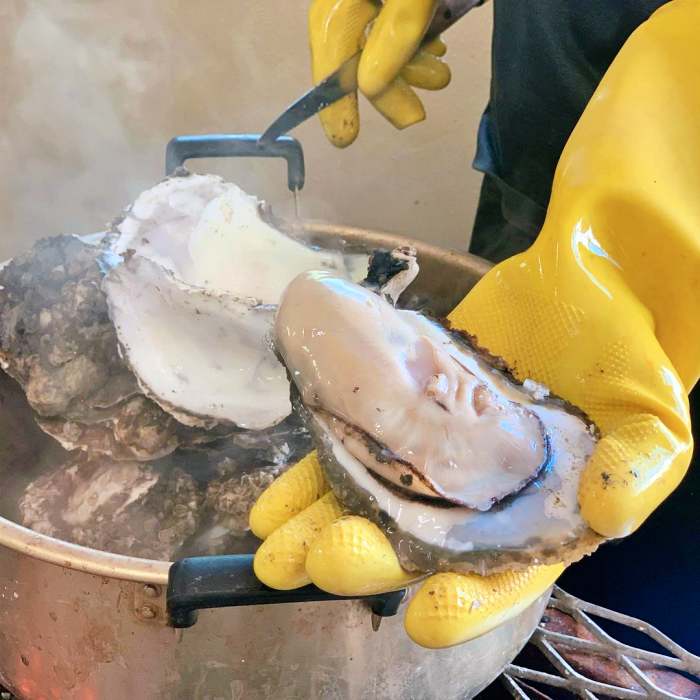 생방송오늘저녁 섬진강 하동 벚굴 구이 강굴 벚굴찜 벚굴전 벚굴죽 재첩국 재첩회무침 맛집 추천
