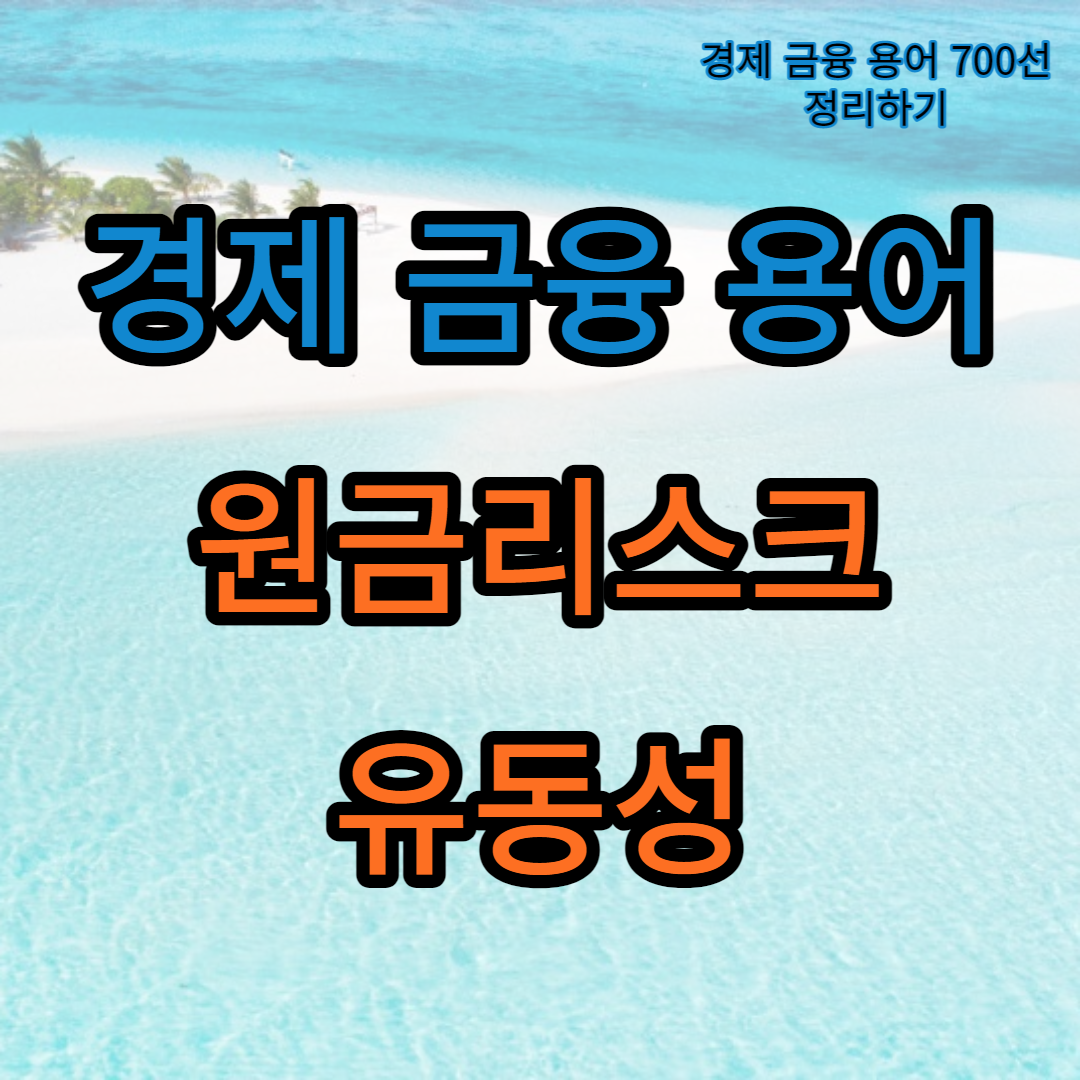 원금리스크_유동성