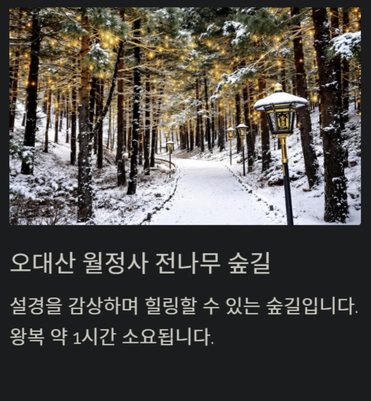 겨울방학_여행지_TOP5