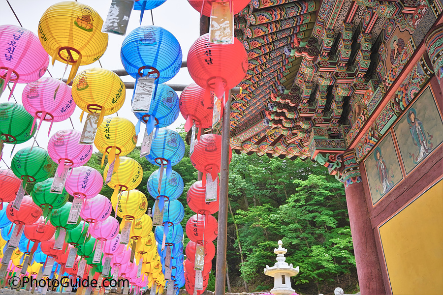 쌍계사-포토가이드