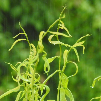 장마철 신발 관리