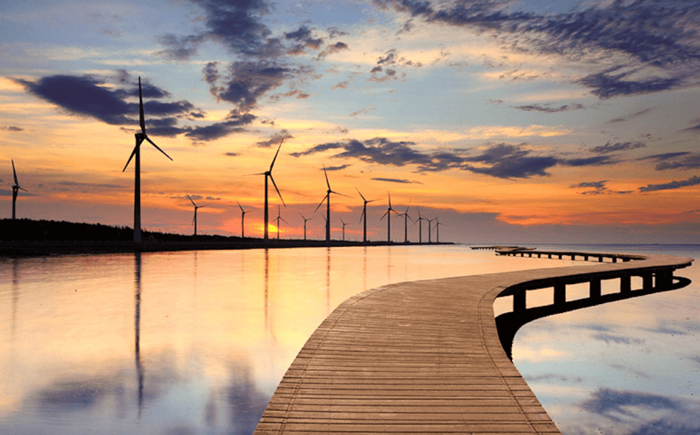 대만 여행지원금 트리플 당근알바