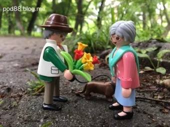 노부모 댁 선물 식물추천 물주기간단 종류 배치관리 팁_7