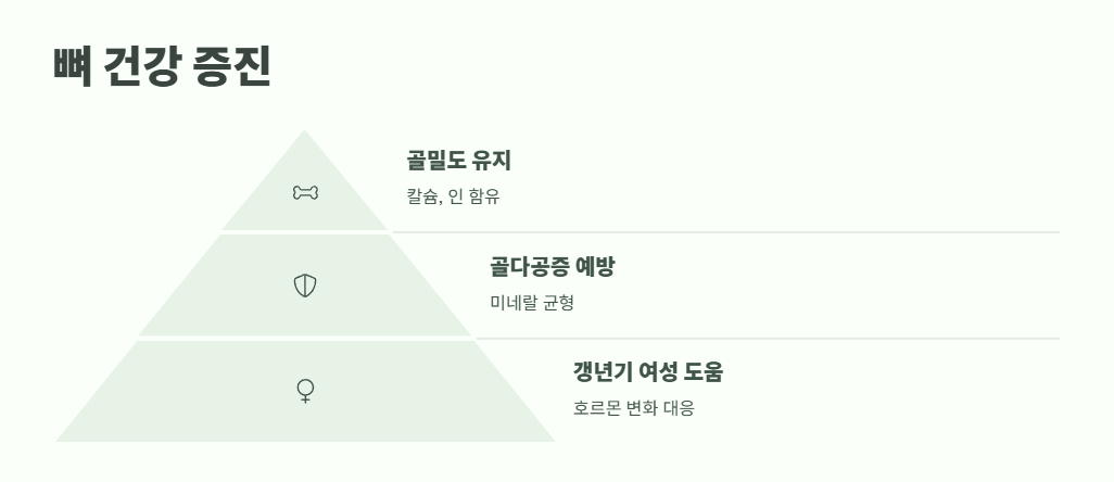 보리수 열매 효능 쉽게 정리 8