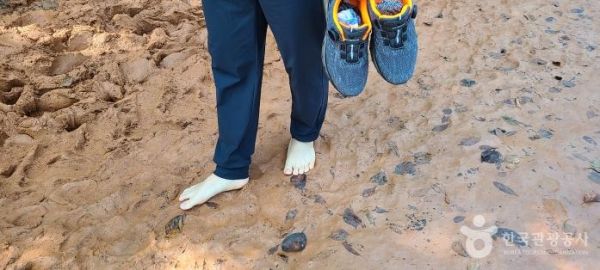 계족산 황토길(사진 : 한국관광공사 대한민국 구석구석 홈페이지 발췌)