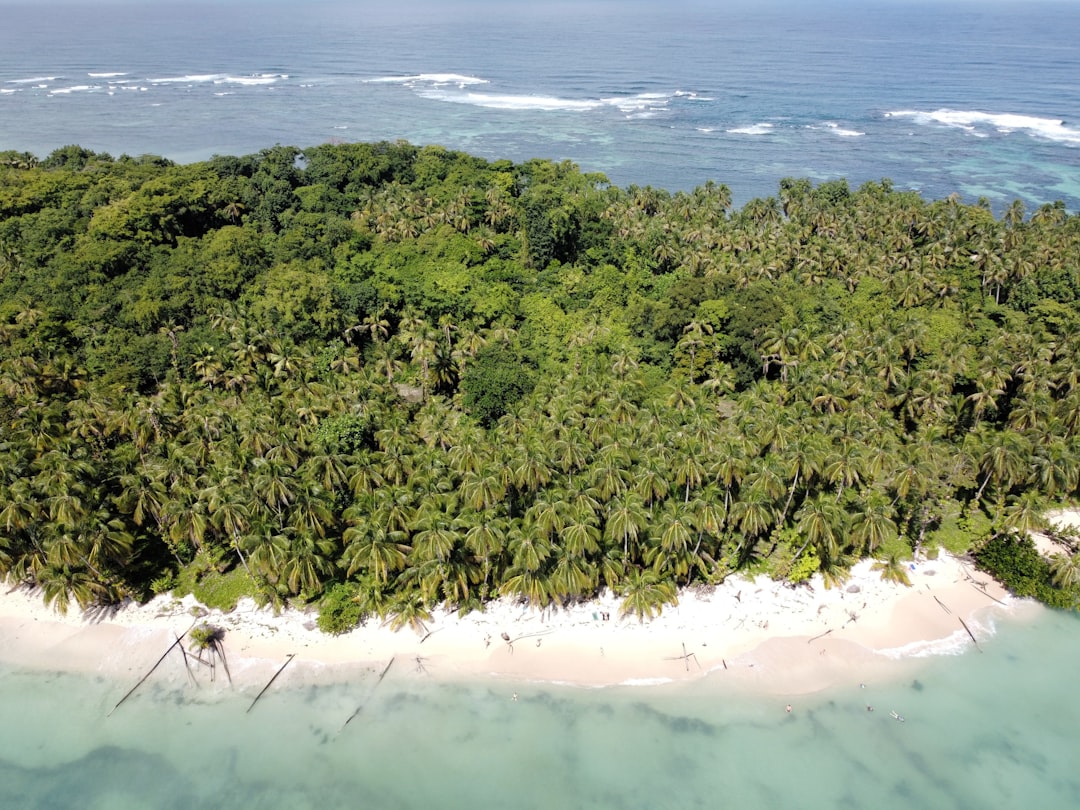 'Island'