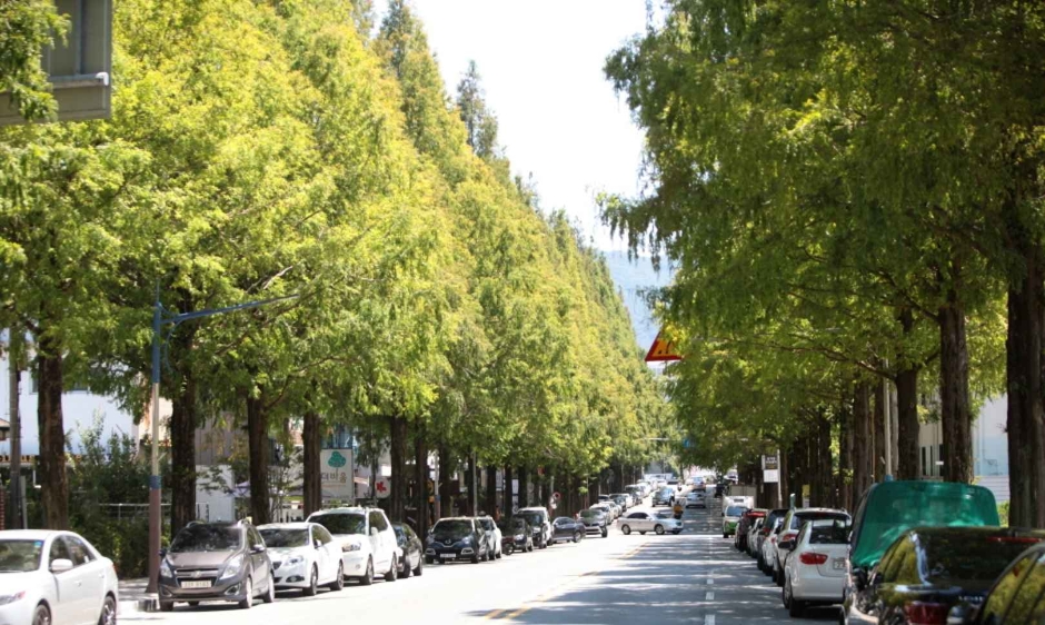 창원 가볼만한곳 베스트10