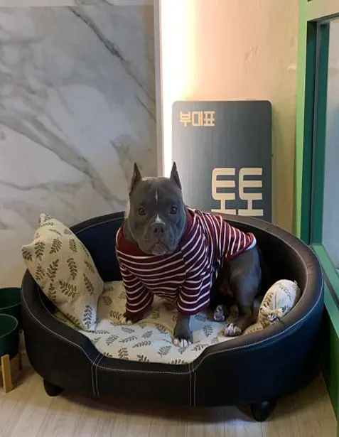 세무회계다솜