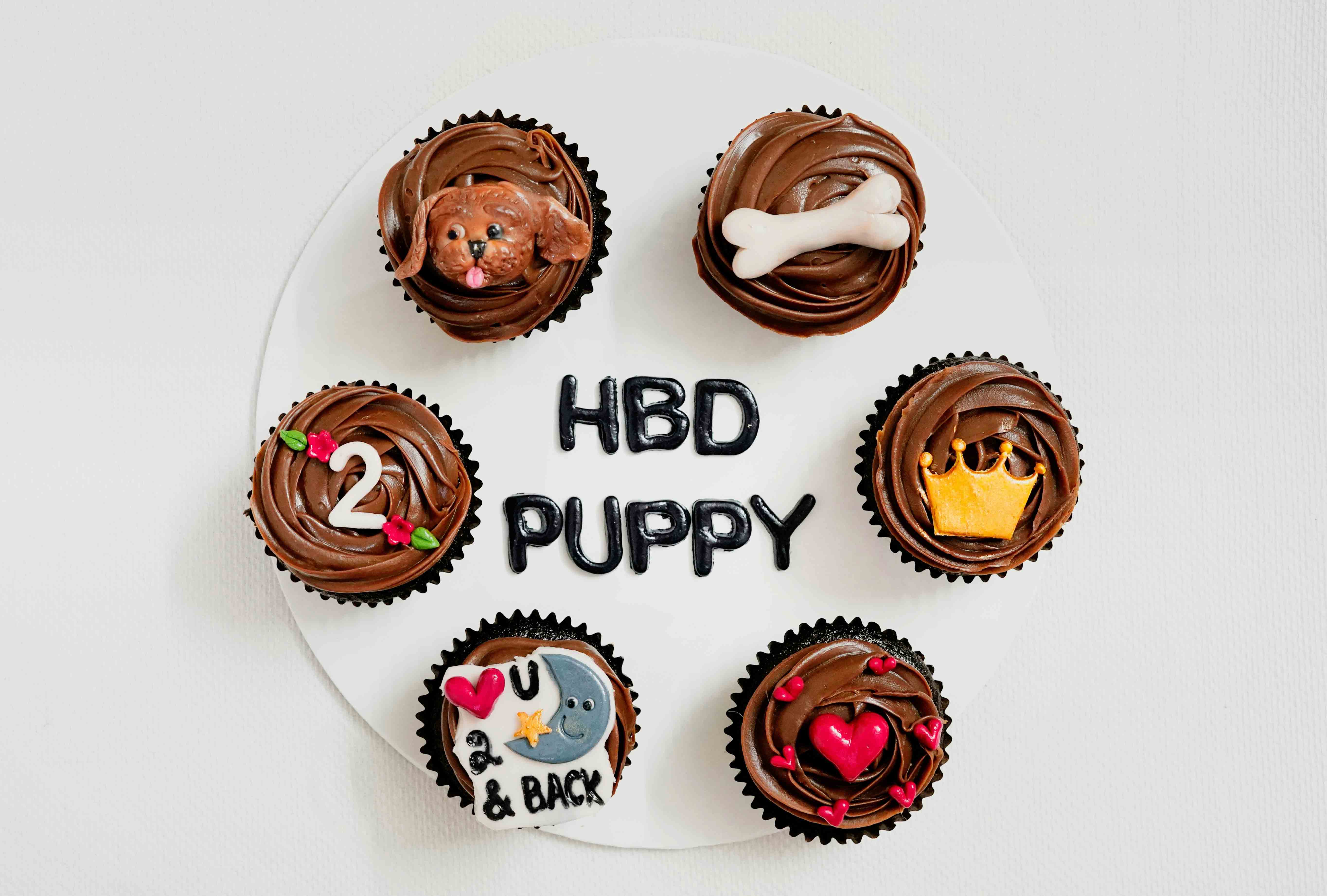 반려동물 커스텀 케이크 관련 사진