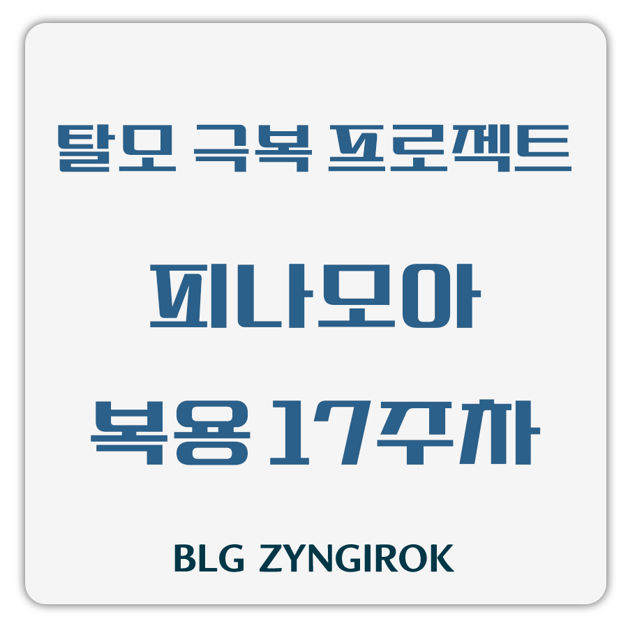 탈모 극복 프로젝트 - 피나모아 복용 17주차 썸네일 이미지이다.