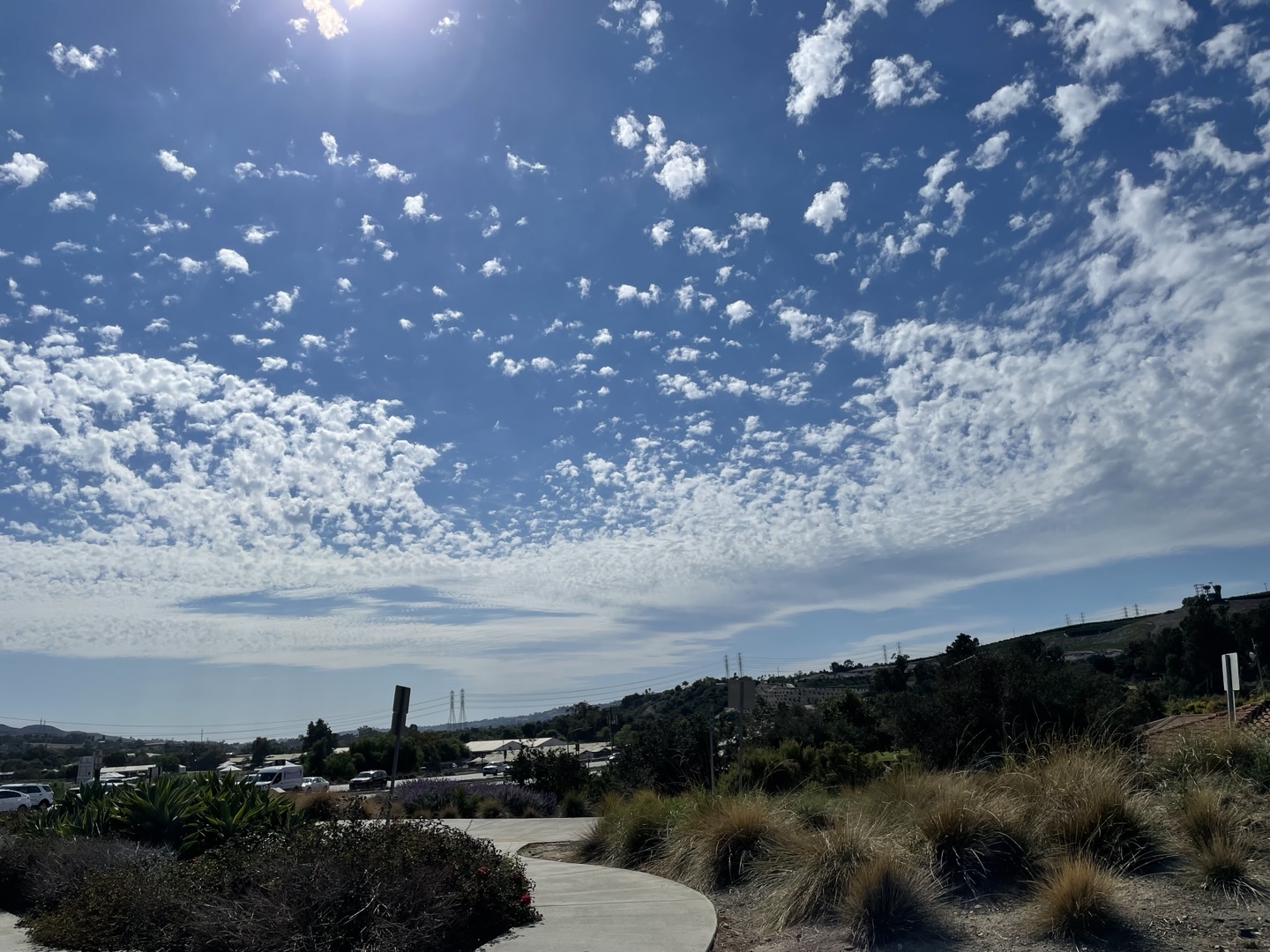 애플페이 교통카드 지원 언제 가능할까?