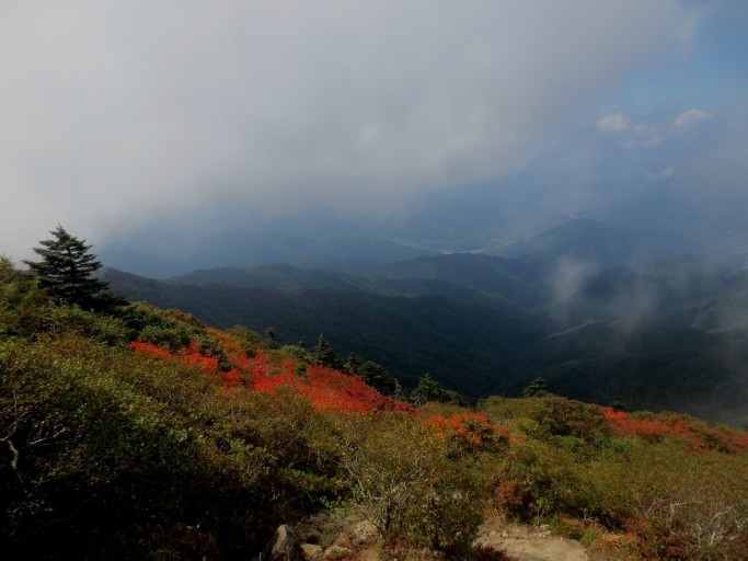 지리산 단풍시기
