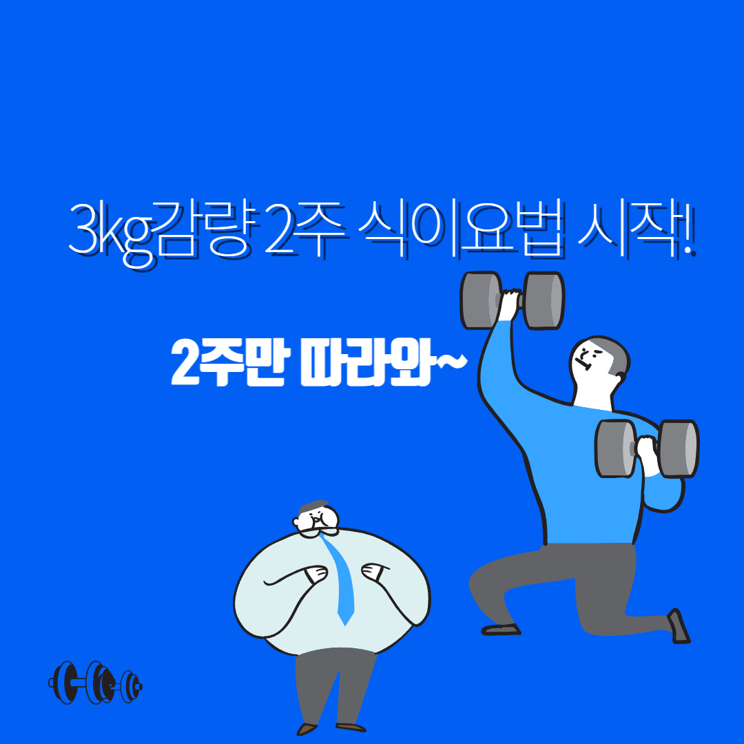 2주- 만에- 3kg 감량- 식이요법 -식단 만들기