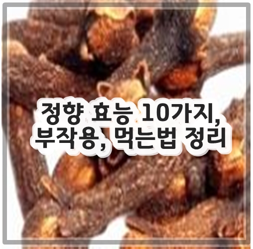정향 효능 10가지, 부작용, 먹는법 정리