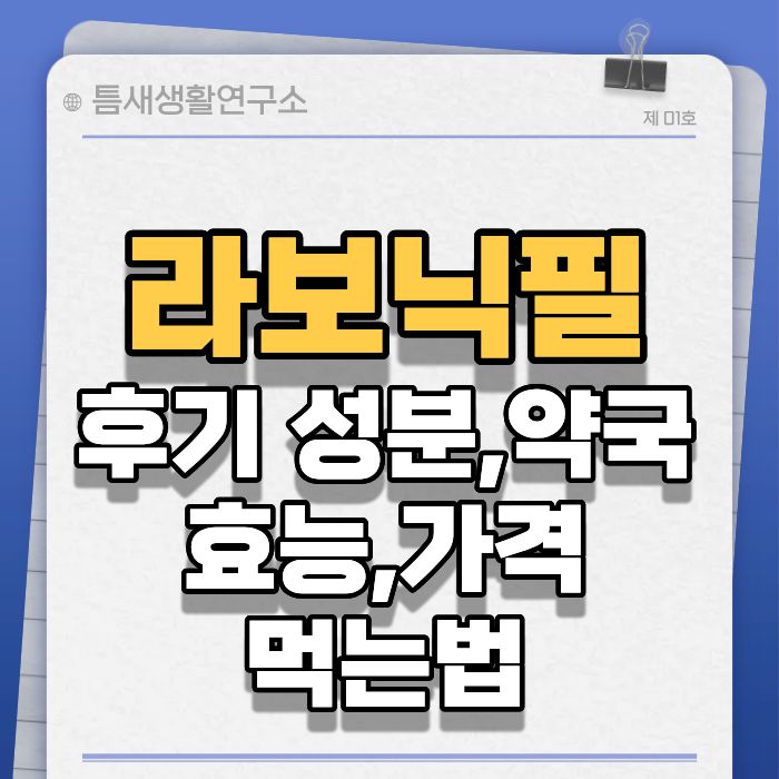 라보닉필-썸네일