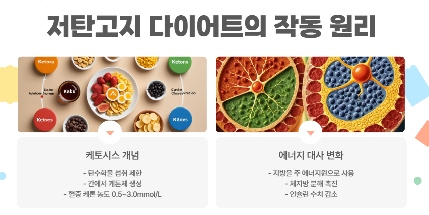 저탄고지의 작동 원리