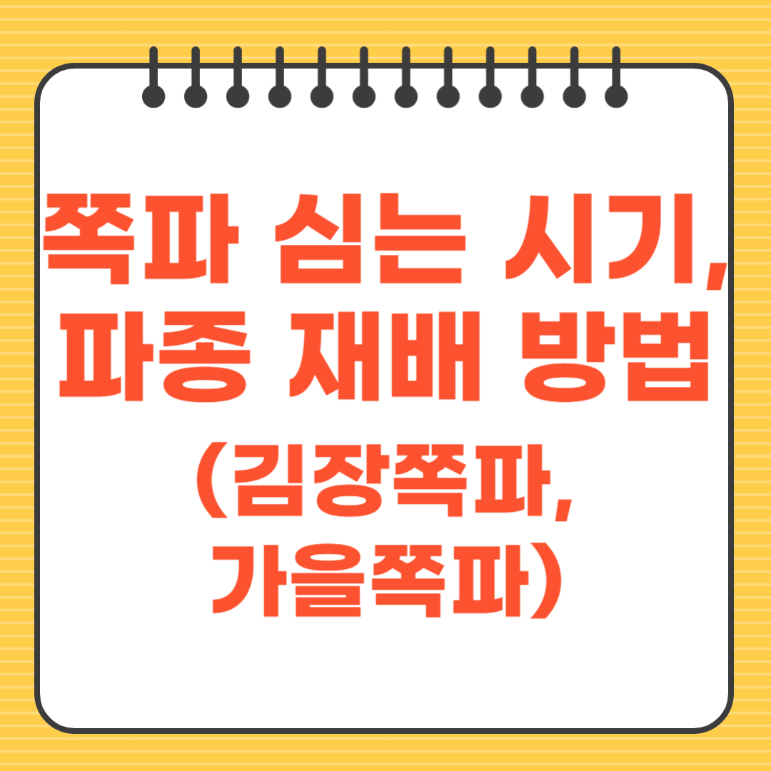 쪽파 심는 시기, 파종 재배 방법(김장쪽파, 가을쪽파)