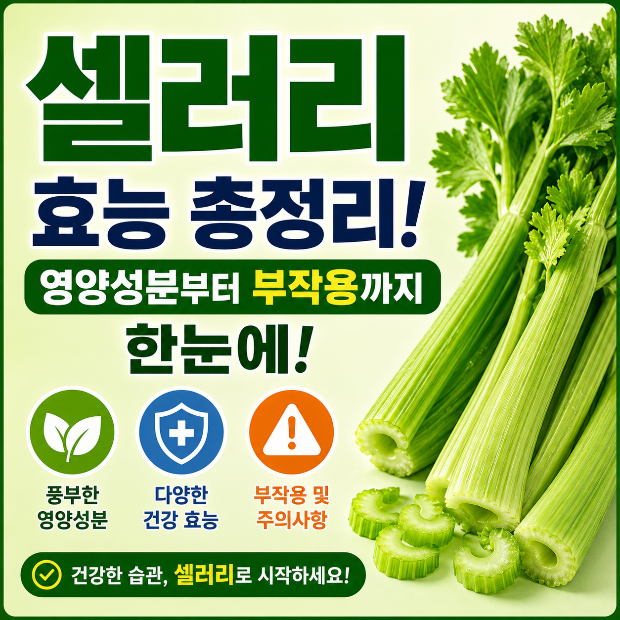 셀러리 효능