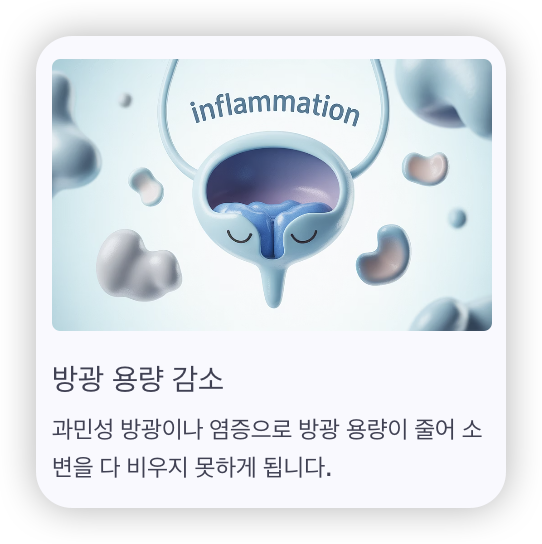 소변-보고도-시원하지-않은-느낌-방광-용량-감소