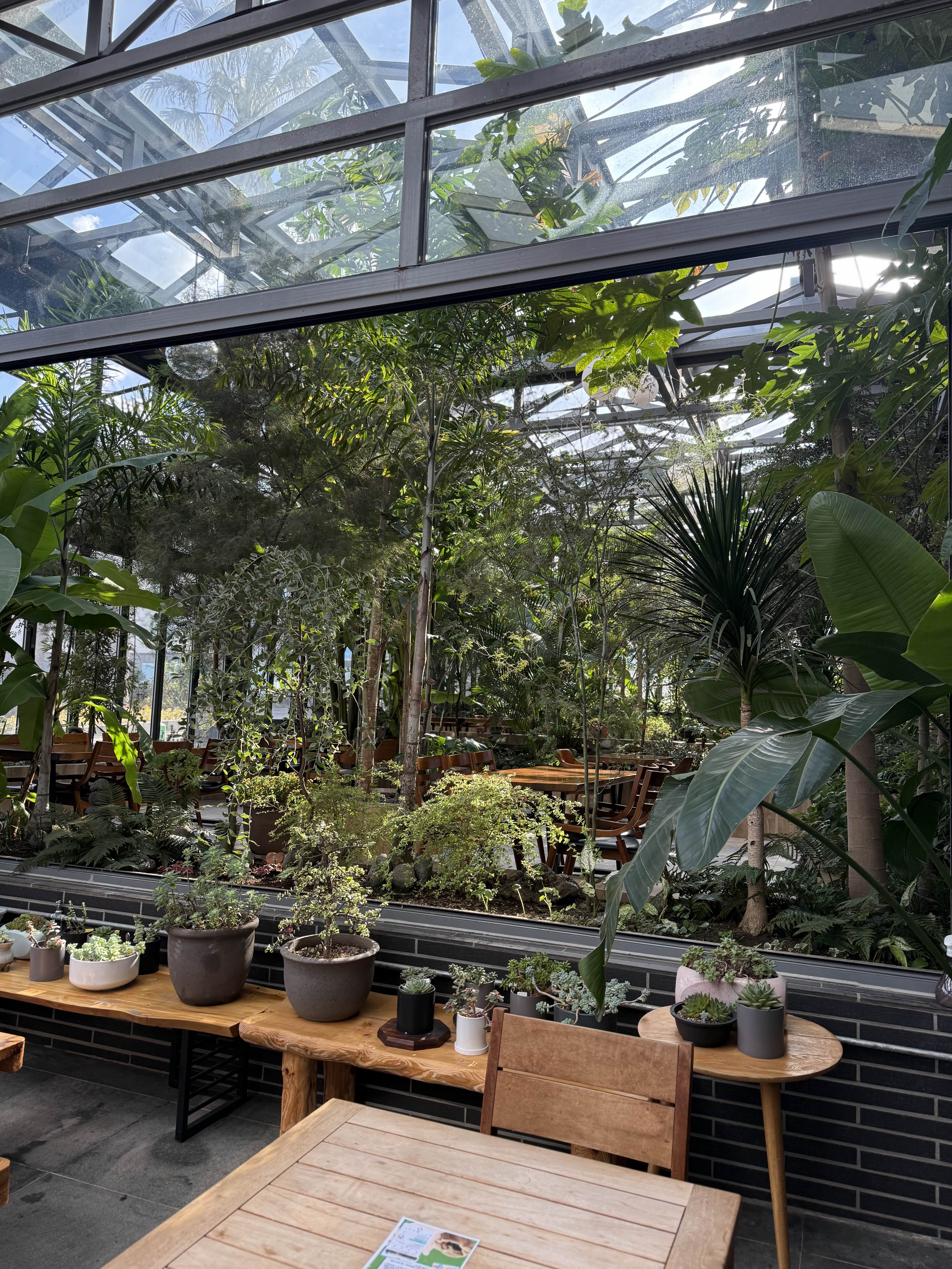 애월 노을리 카페