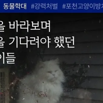 같습니다 갔습니다 차이 자료집_25