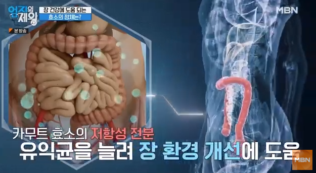 카무트, 카무트 효소