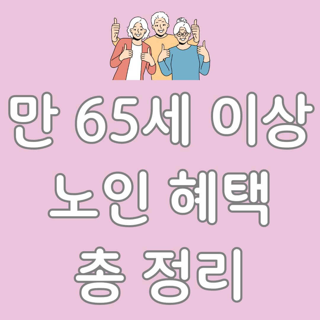 만 65세 이상 노인 혜택 정부 지원
