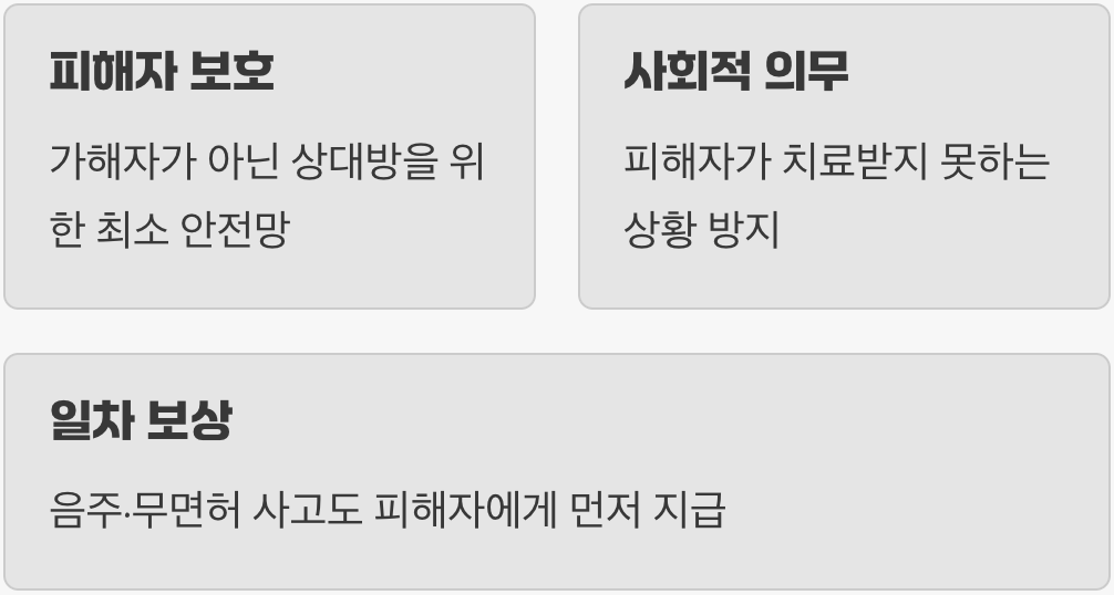 보험의 진짜 약속, '피해자'를 위한 최소한의 방패