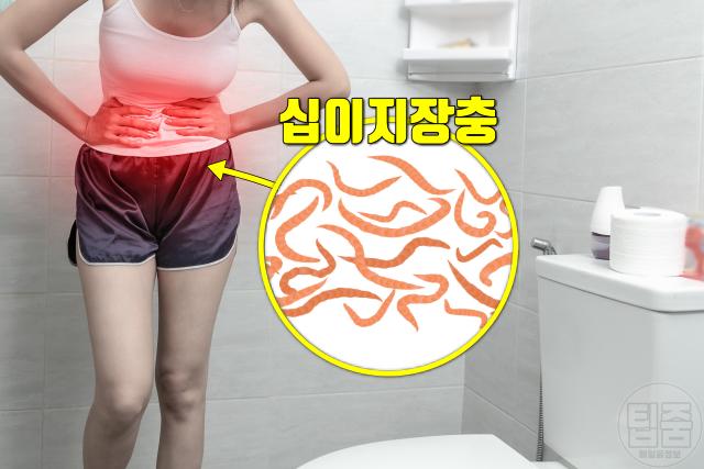 기생충 감염 증상 복통 설사 변비 가스