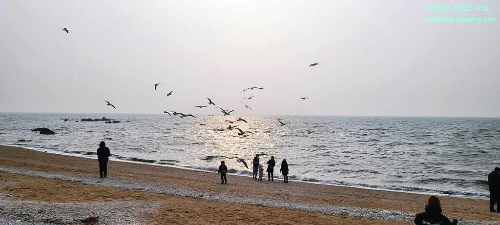 인천-드라이브코스