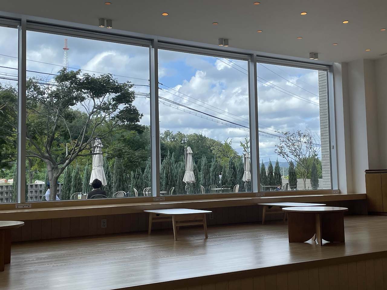 포항 반다이크 브라운