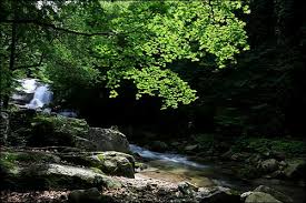 여름에 걷기 좋은 숲길 10