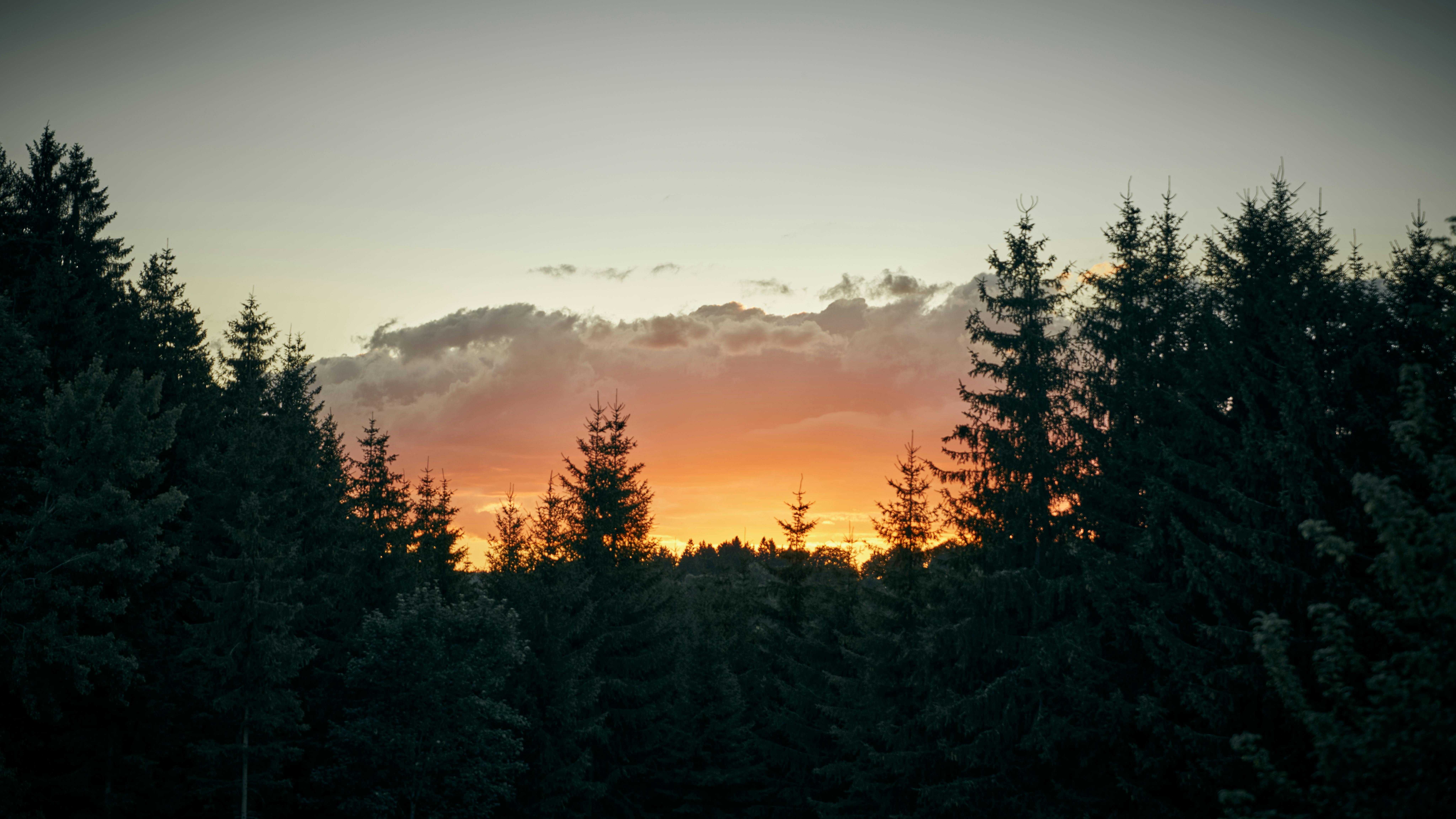 이사할 집에서 이상한 소리가 나는을 상징하는 이미지